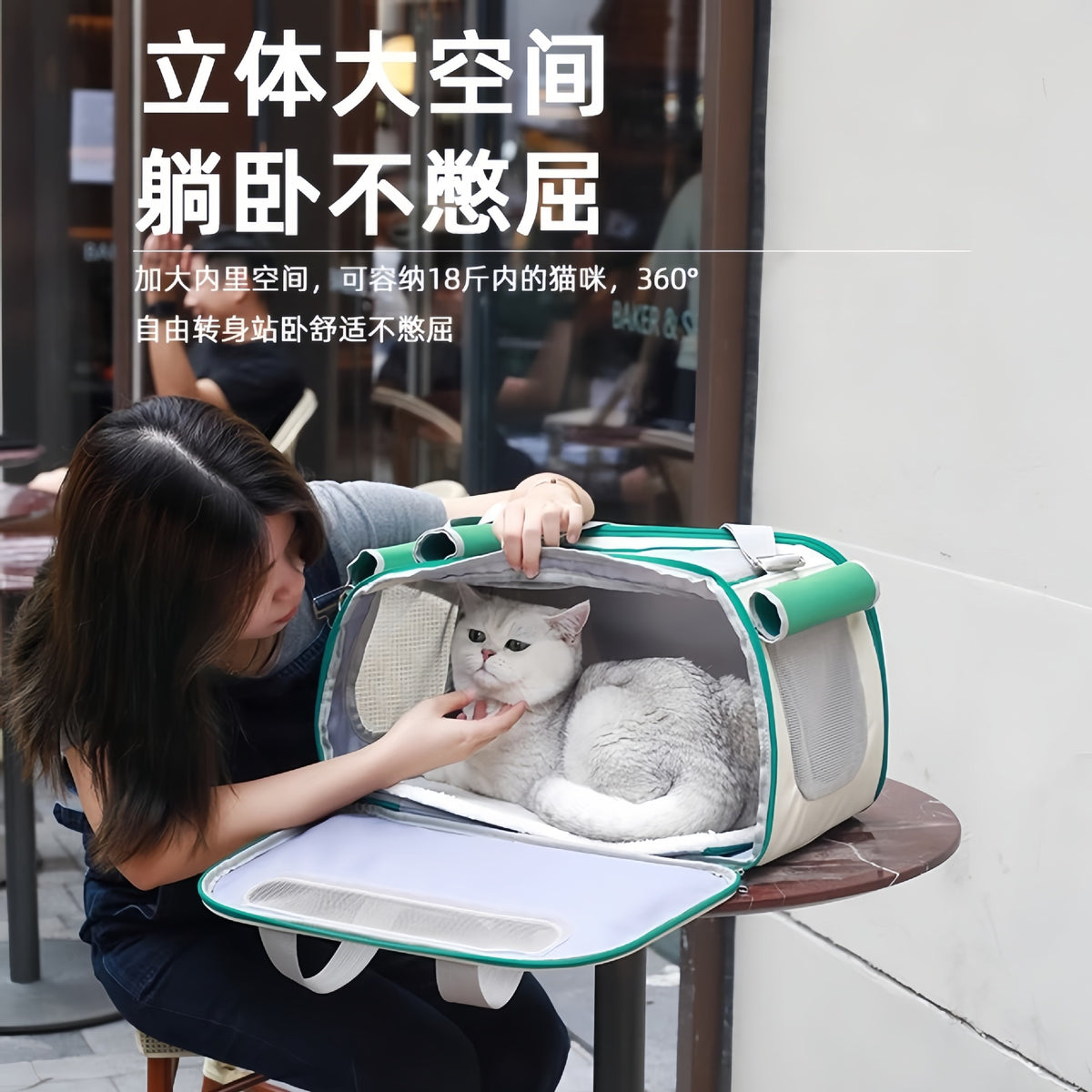 Sac à dos de transport pour chat & petit chien – Grande capacité