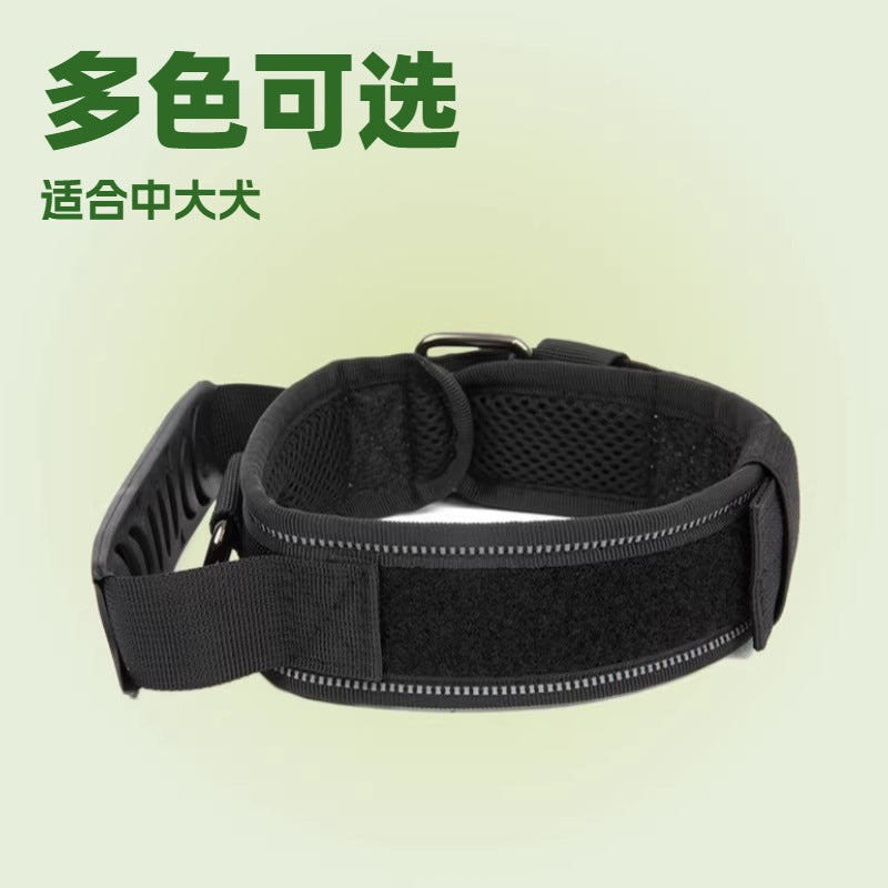 Collier en nylon résistant pour chien – Promenade & éducation