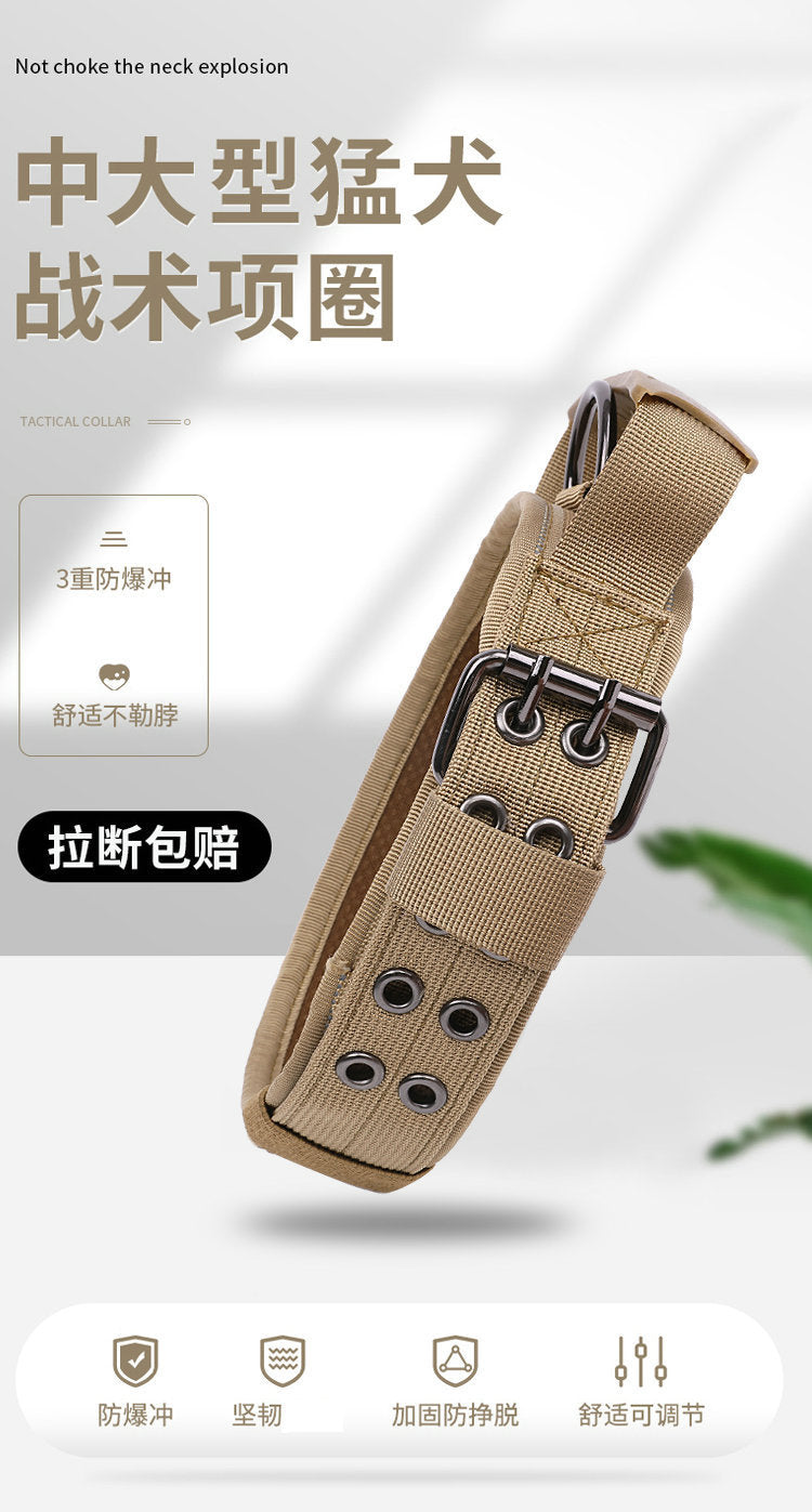Collier en nylon résistant pour chien – Promenade & éducation