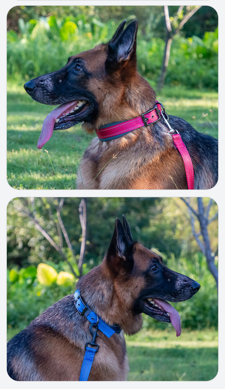 Collier réfléchissant pour chien – Promenade & visibilité