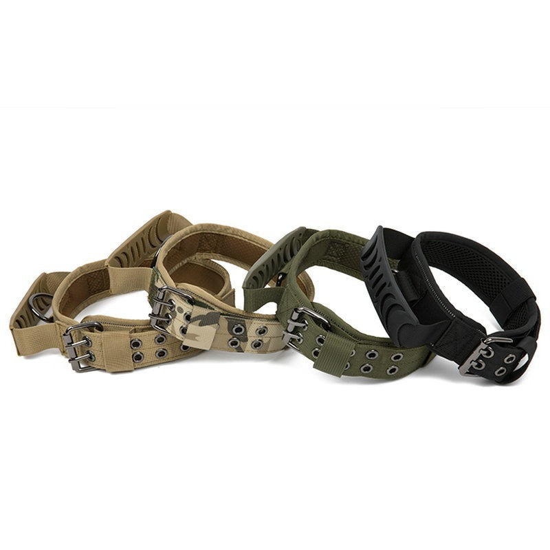 Collier en nylon résistant pour chien – Promenade & éducation