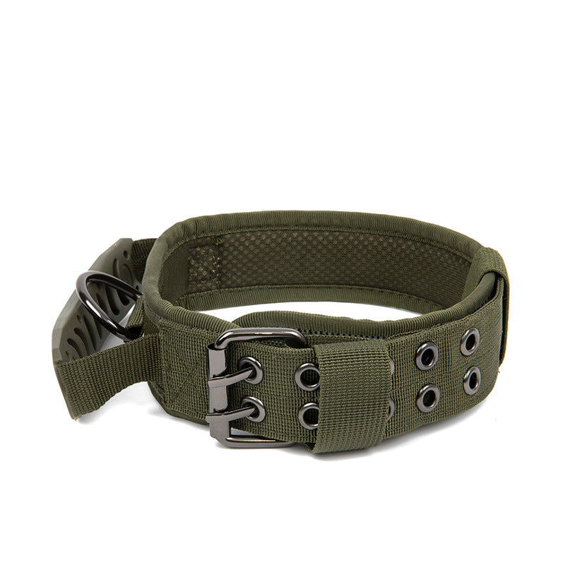 Collier en nylon résistant pour chien – Promenade & éducation