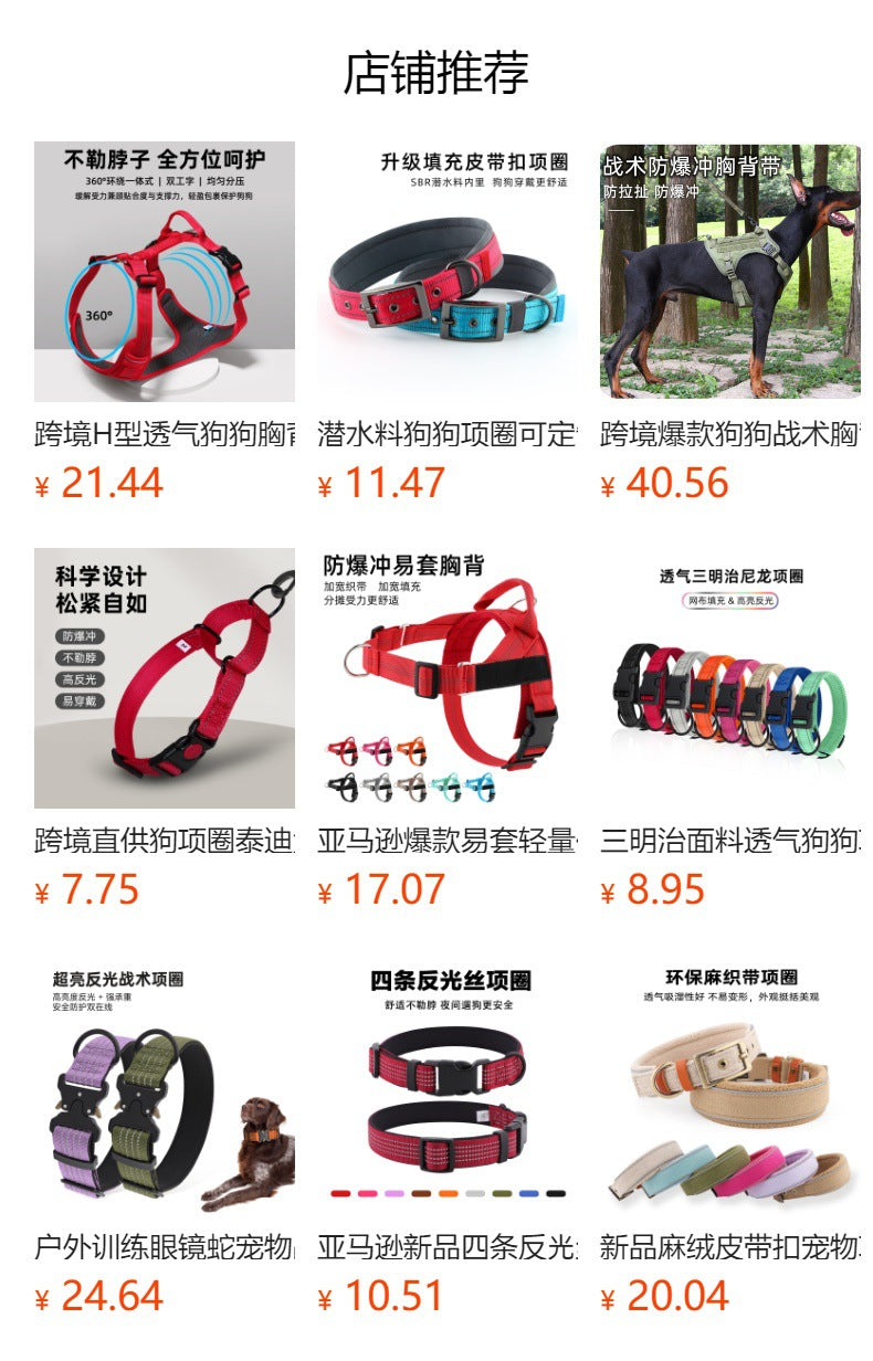 Collier réfléchissant pour chien – Promenade & visibilité