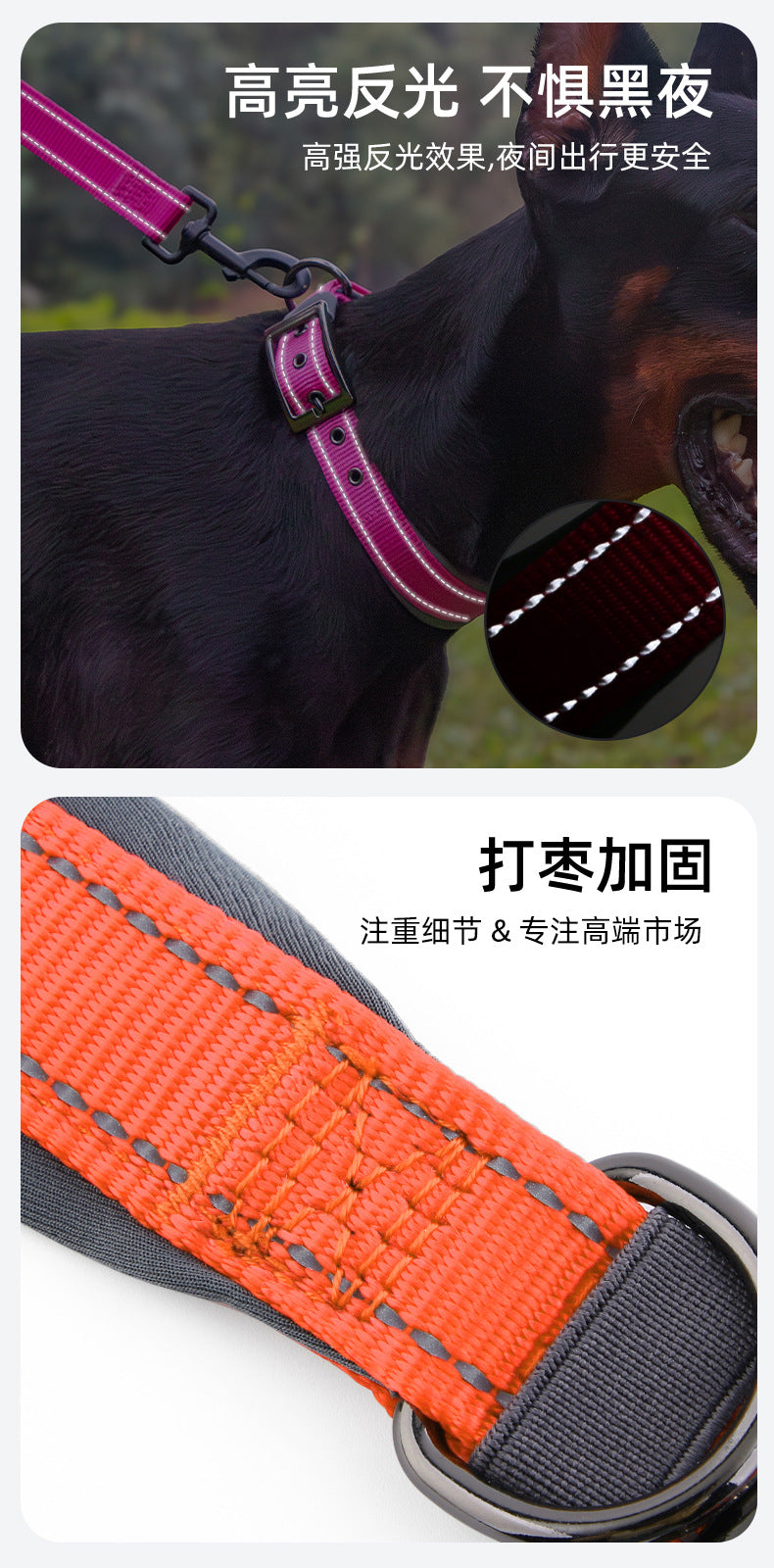 Collier réfléchissant pour chien – Promenade & visibilité