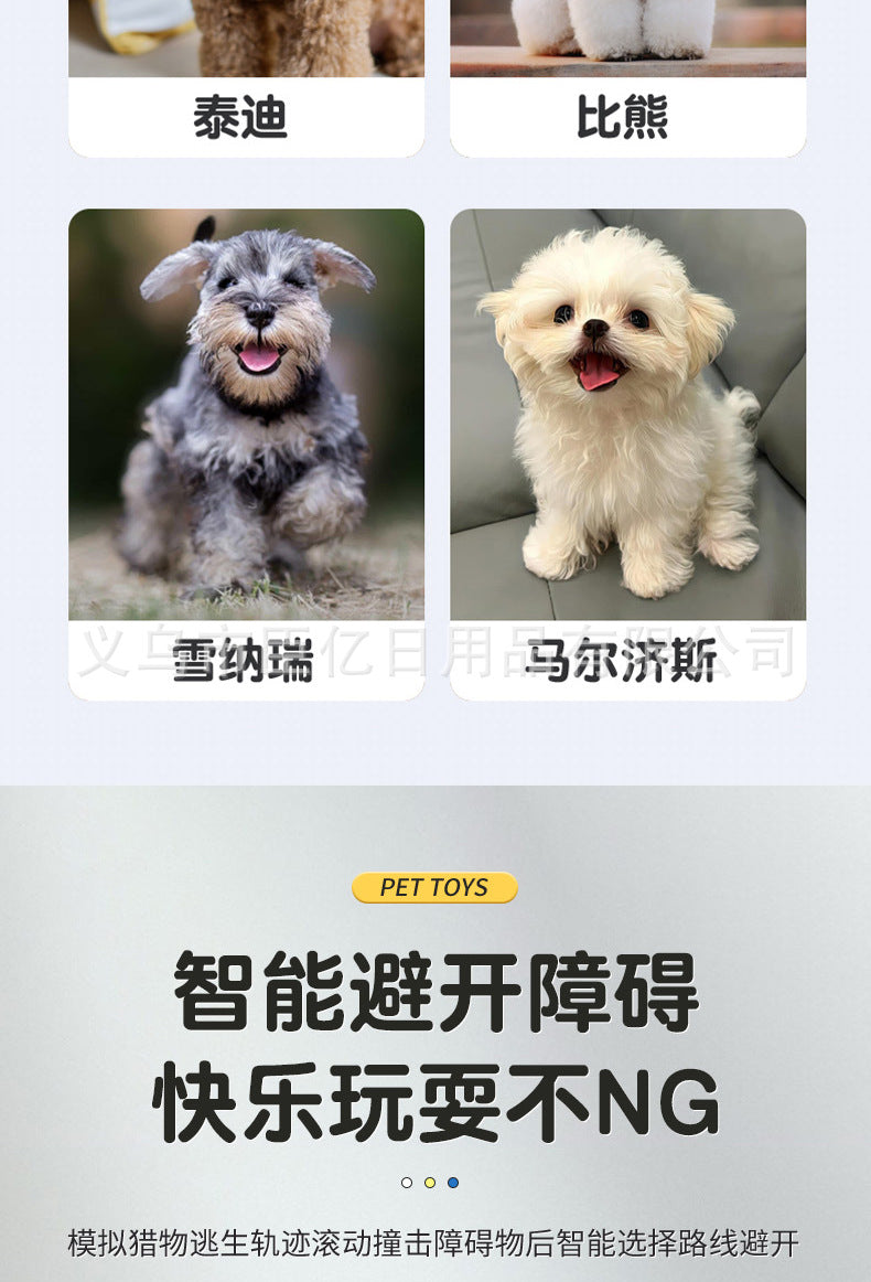 Balle interactive pour chat & chien – Jouet d’occupation