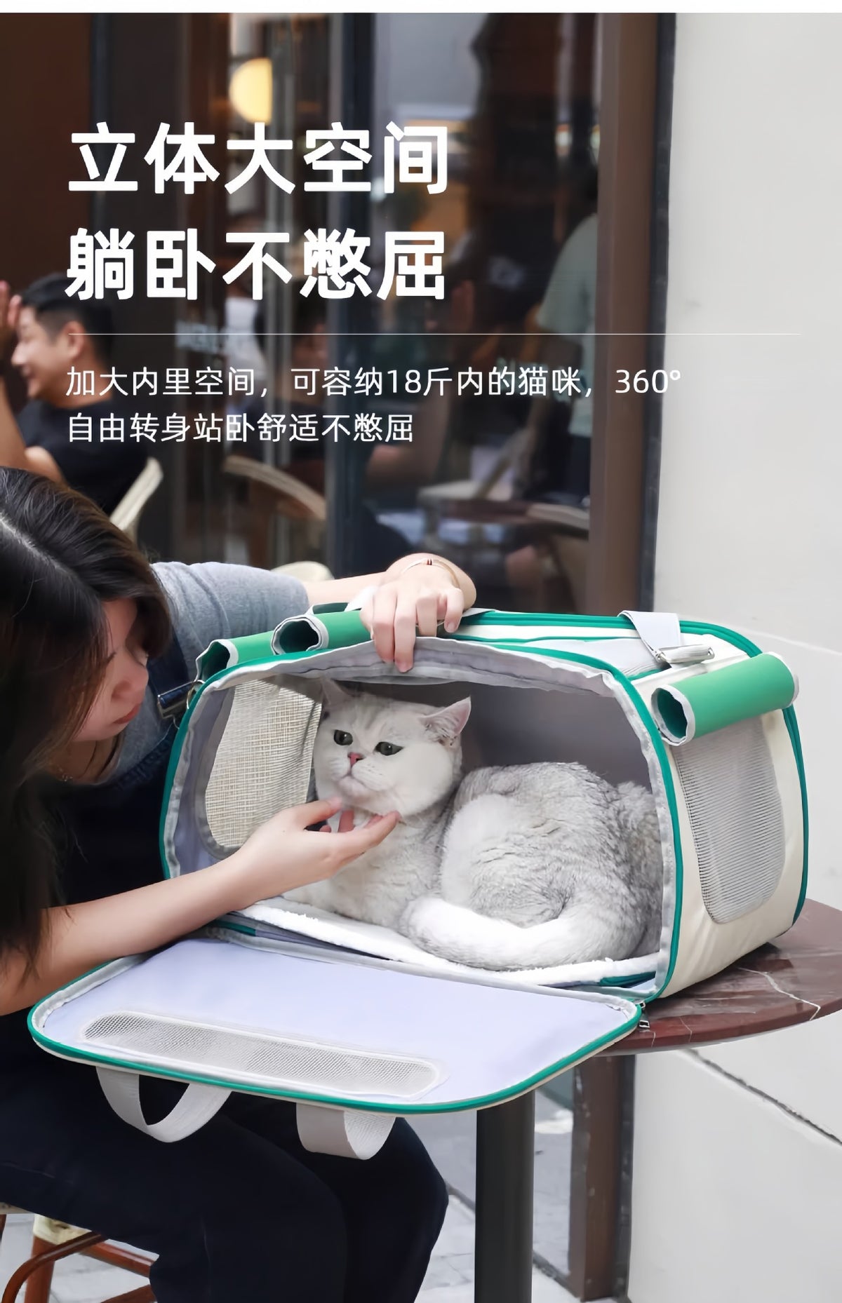 Sac à dos de transport pour chat & petit chien – Grande capacité