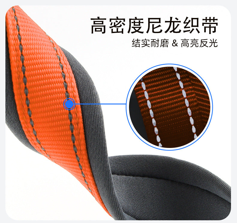 Collier réfléchissant pour chien – Promenade & visibilité