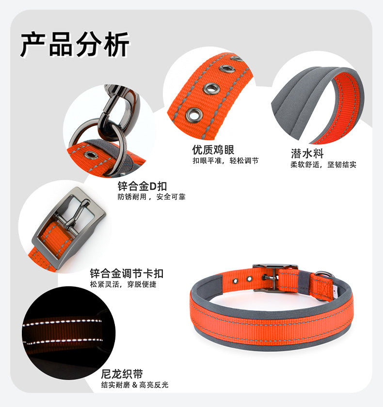 Collier réfléchissant pour chien – Promenade & visibilité