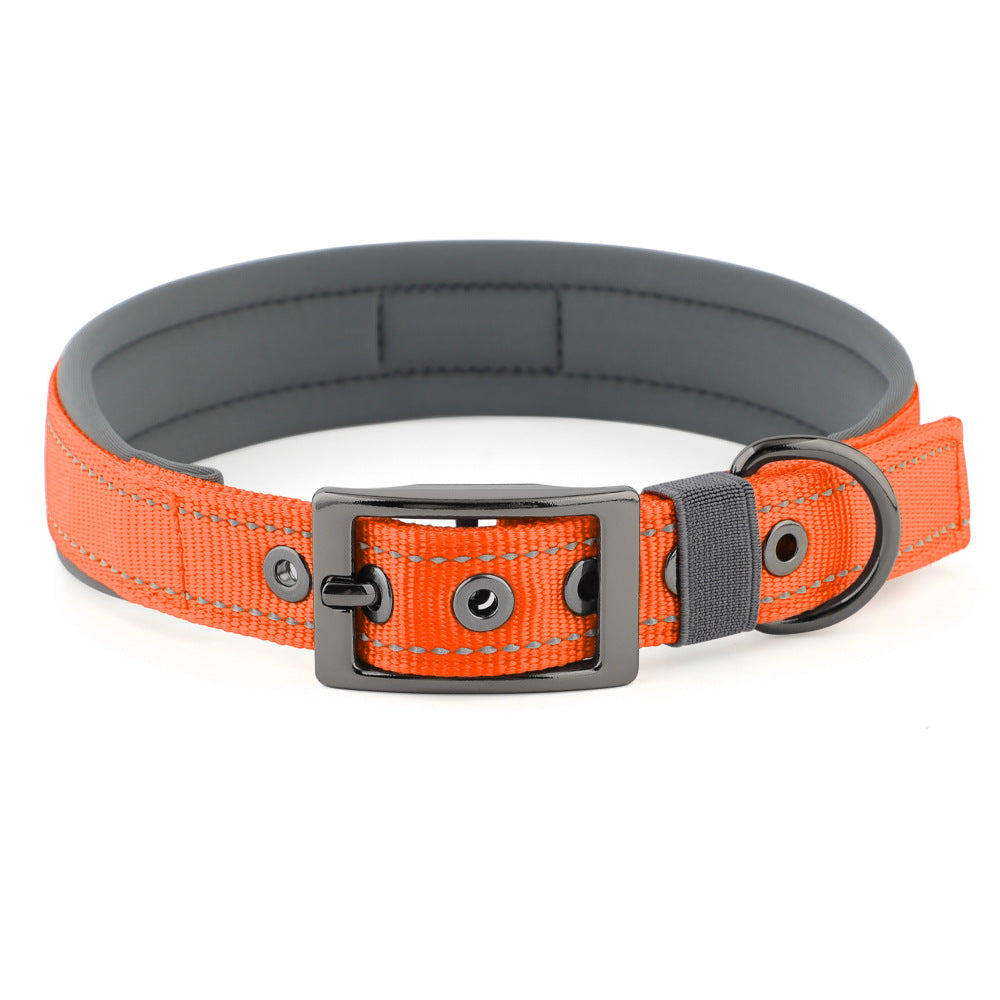 Collier réfléchissant pour chien – Promenade & visibilité