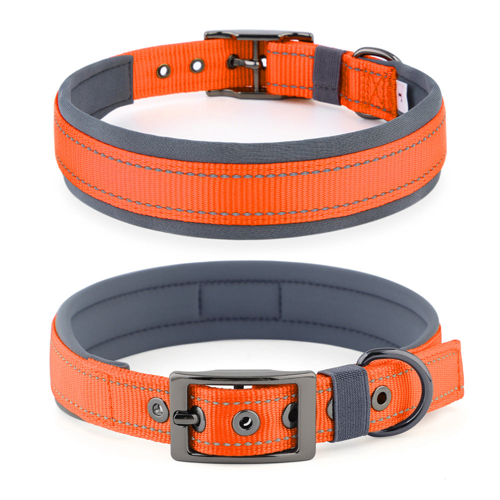 Collier réfléchissant pour chien – Promenade & visibilité
