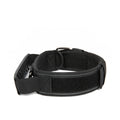 Collier en nylon résistant pour chien – Promenade & éducation