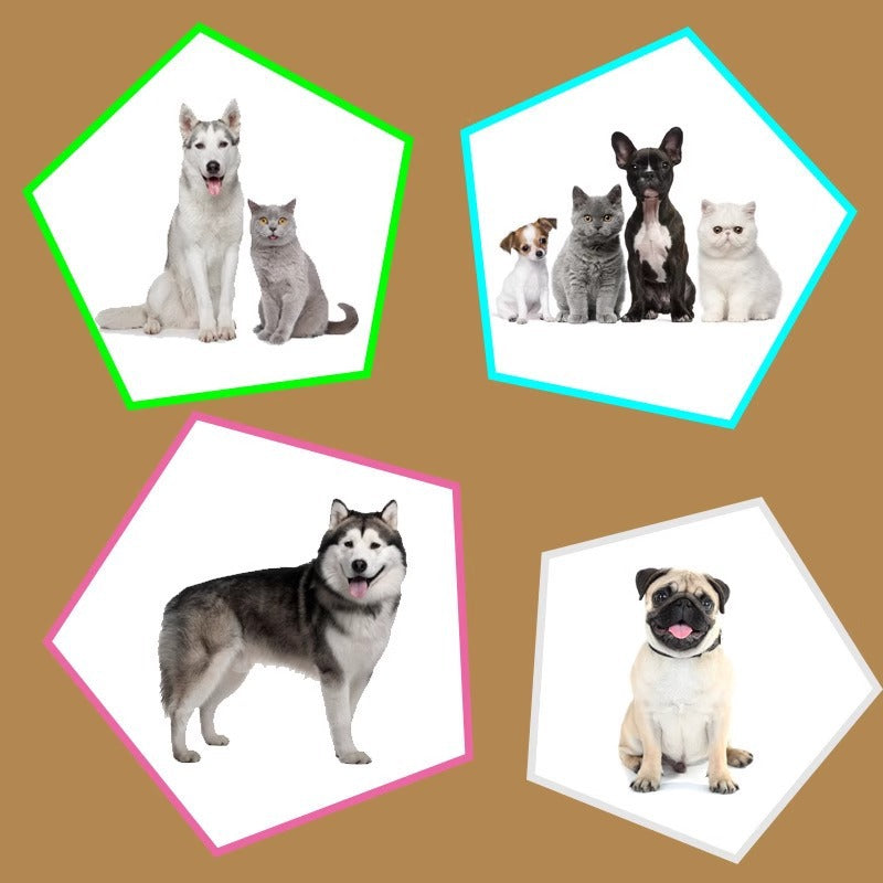 Cache-oreilles pour chien – Doux & confortables