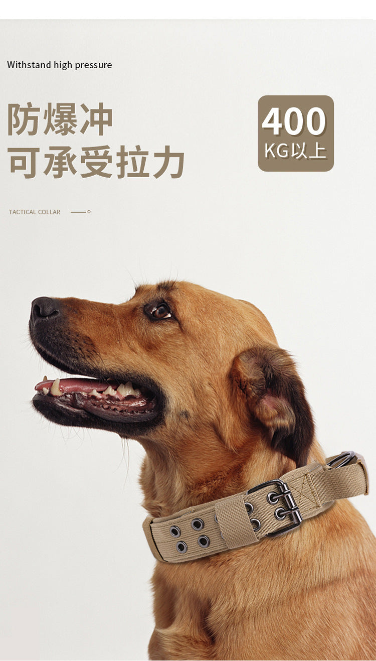 Collier en nylon résistant pour chien – Promenade & éducation