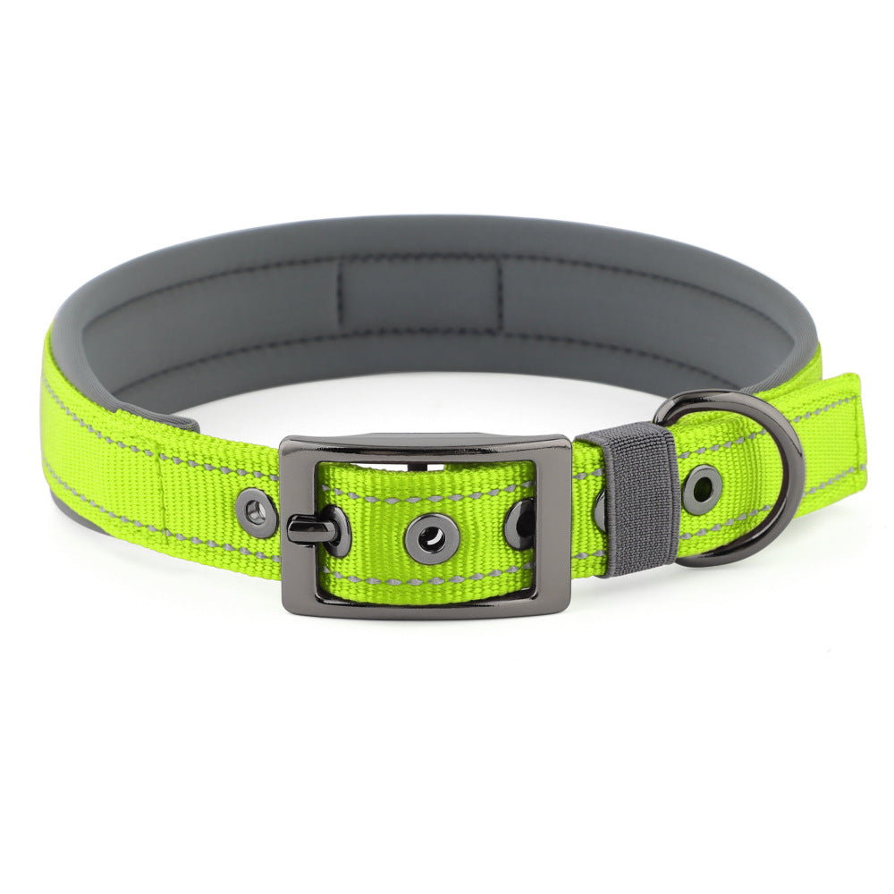 Collier réfléchissant pour chien – Promenade & visibilité