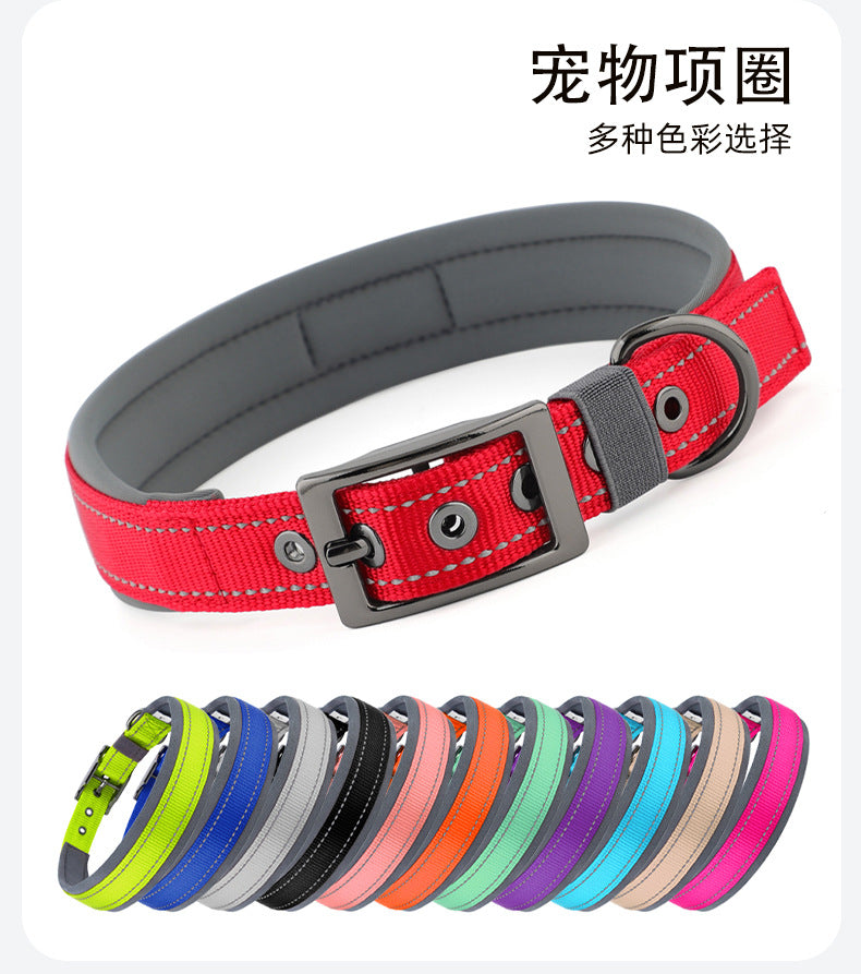Collier réfléchissant pour chien – Promenade & visibilité
