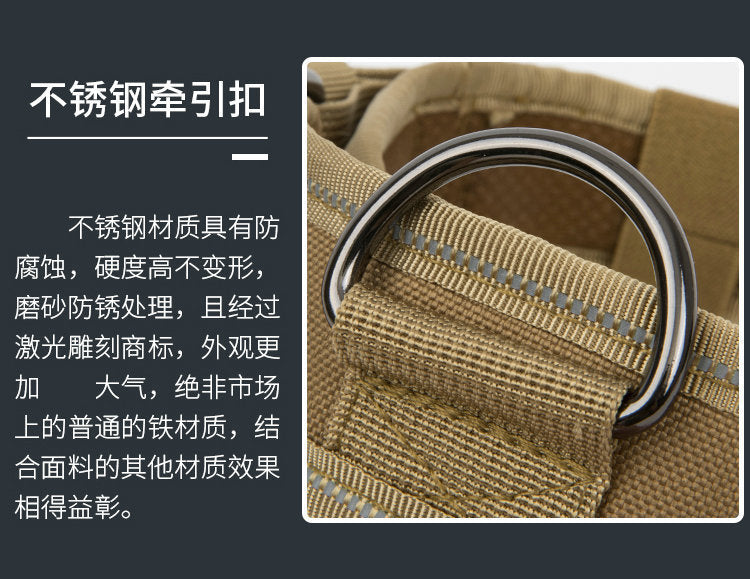 Collier en nylon résistant pour chien – Promenade & éducation