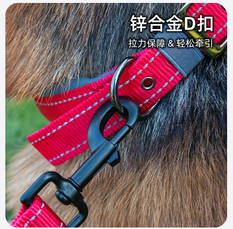Collier réfléchissant pour chien – Promenade & visibilité