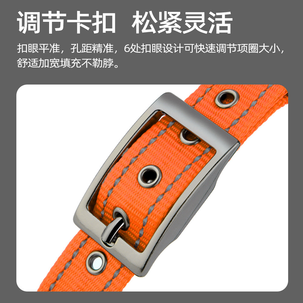 Collier réfléchissant pour chien – Promenade & visibilité
