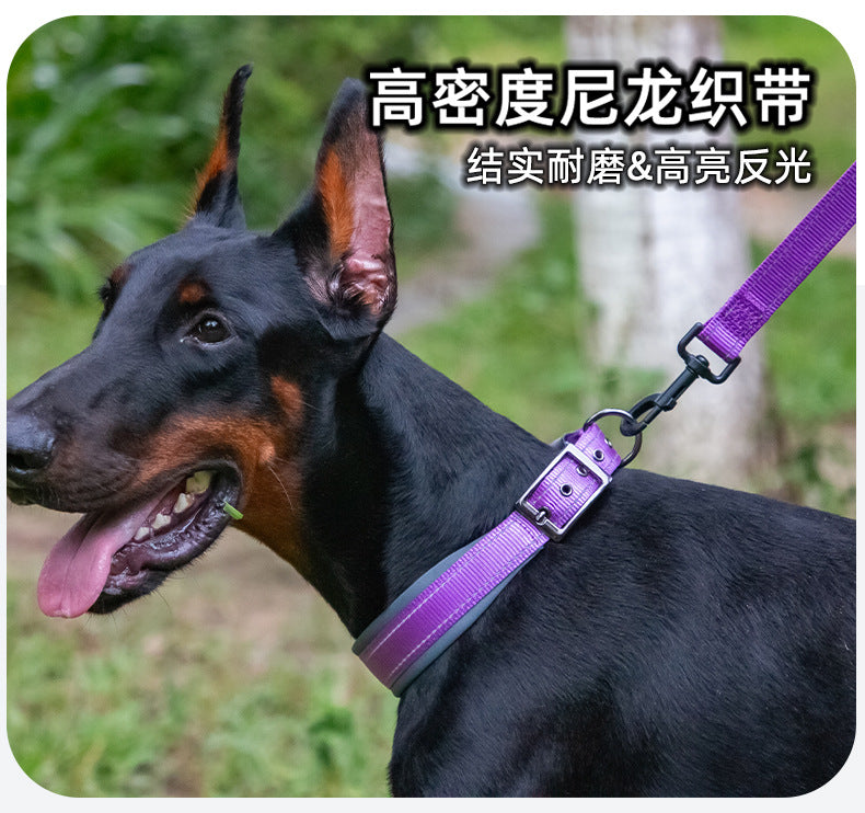 Collier réfléchissant pour chien – Promenade & visibilité