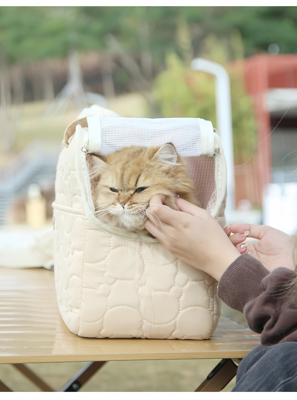 Sac à dos pour chat & petit chien – Doublé chaud avec accessoires