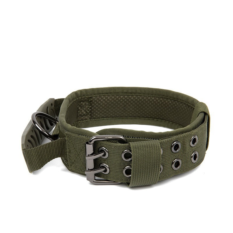 Collier en nylon résistant pour chien – Promenade & éducation