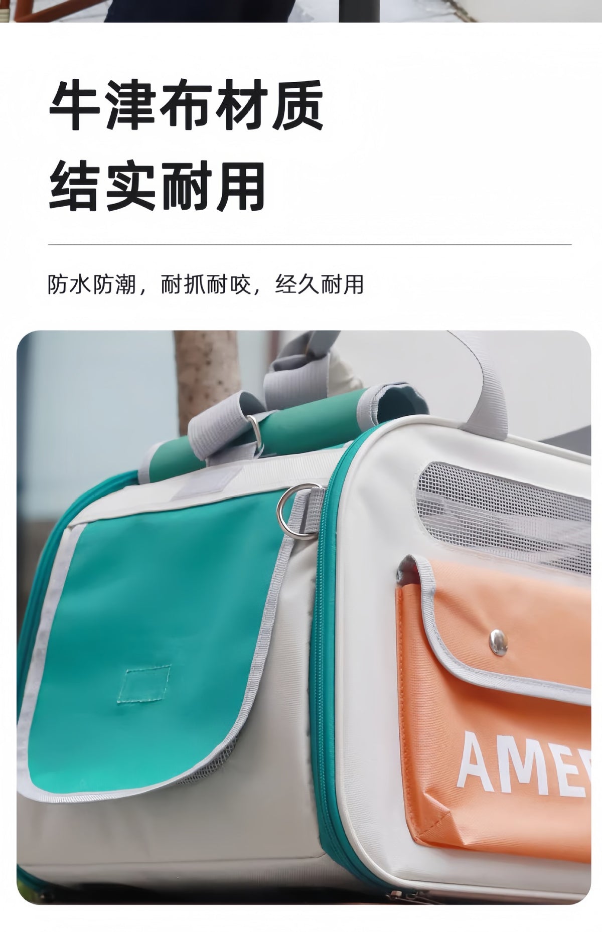 Sac à dos de transport pour chat & petit chien – Grande capacité