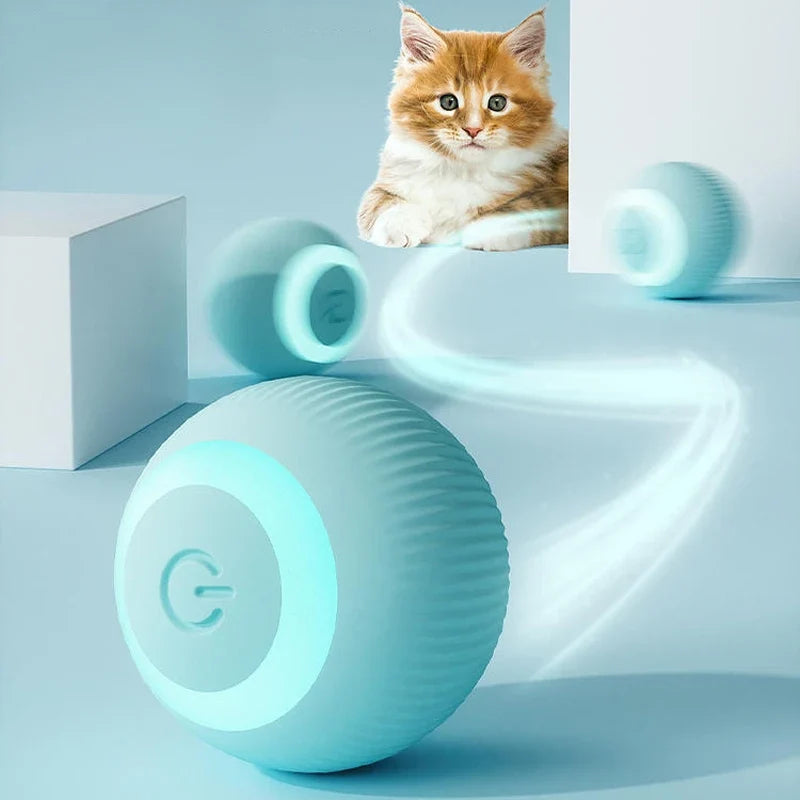 Balle interactive pour chat – Jeu & stimulation