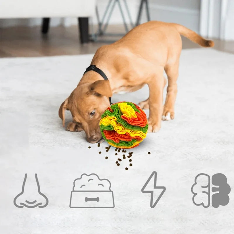 Balle à renifler et à friandises pour chien