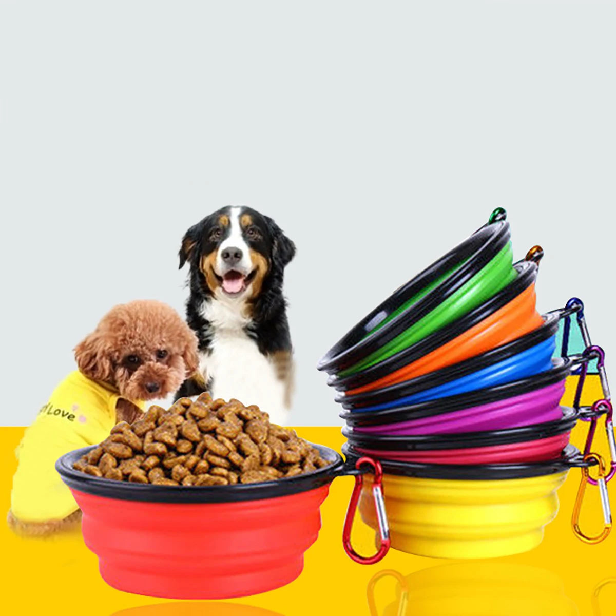 Bol pliable de voyage pour chien et chat