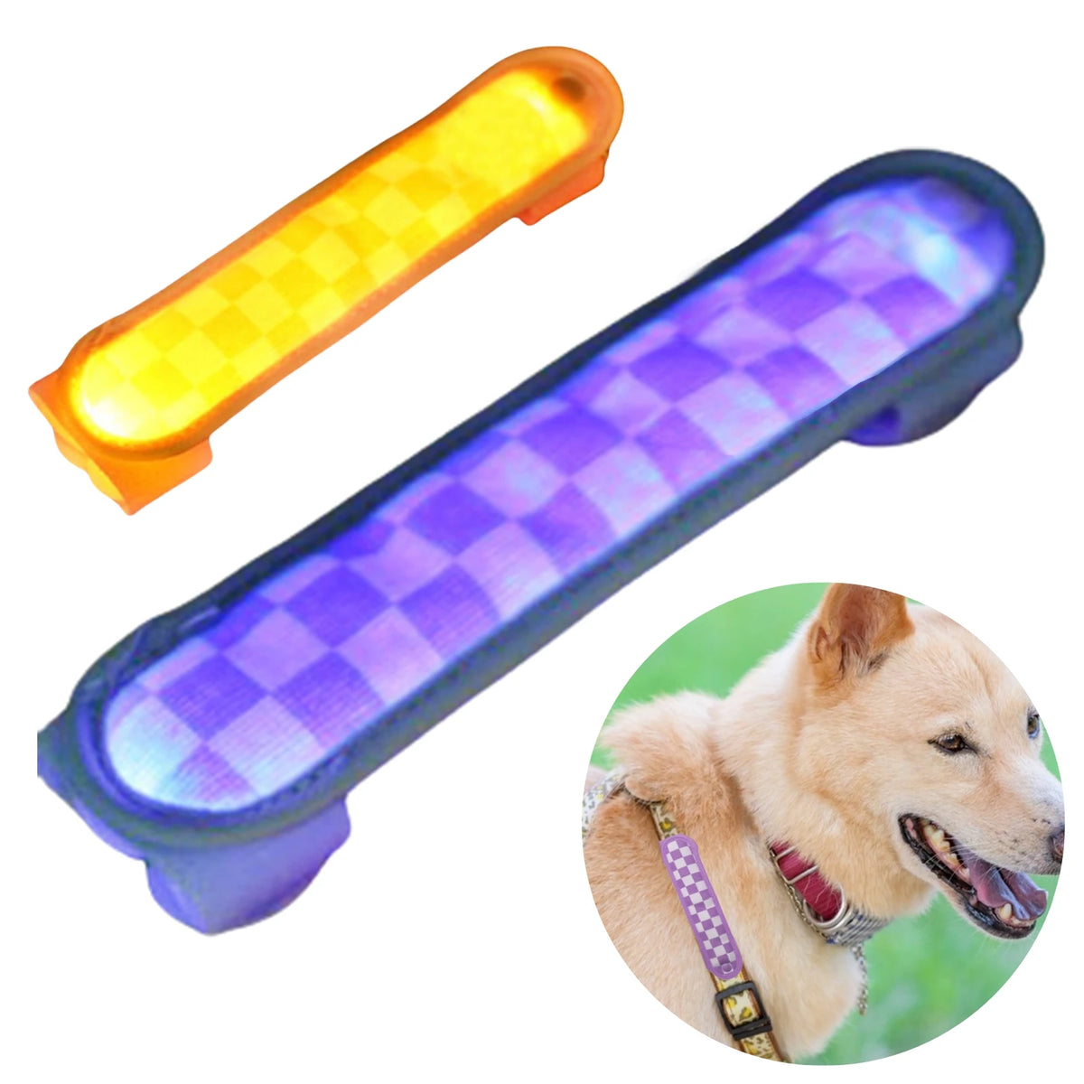 Collier LED lumineux rechargeable pour chien