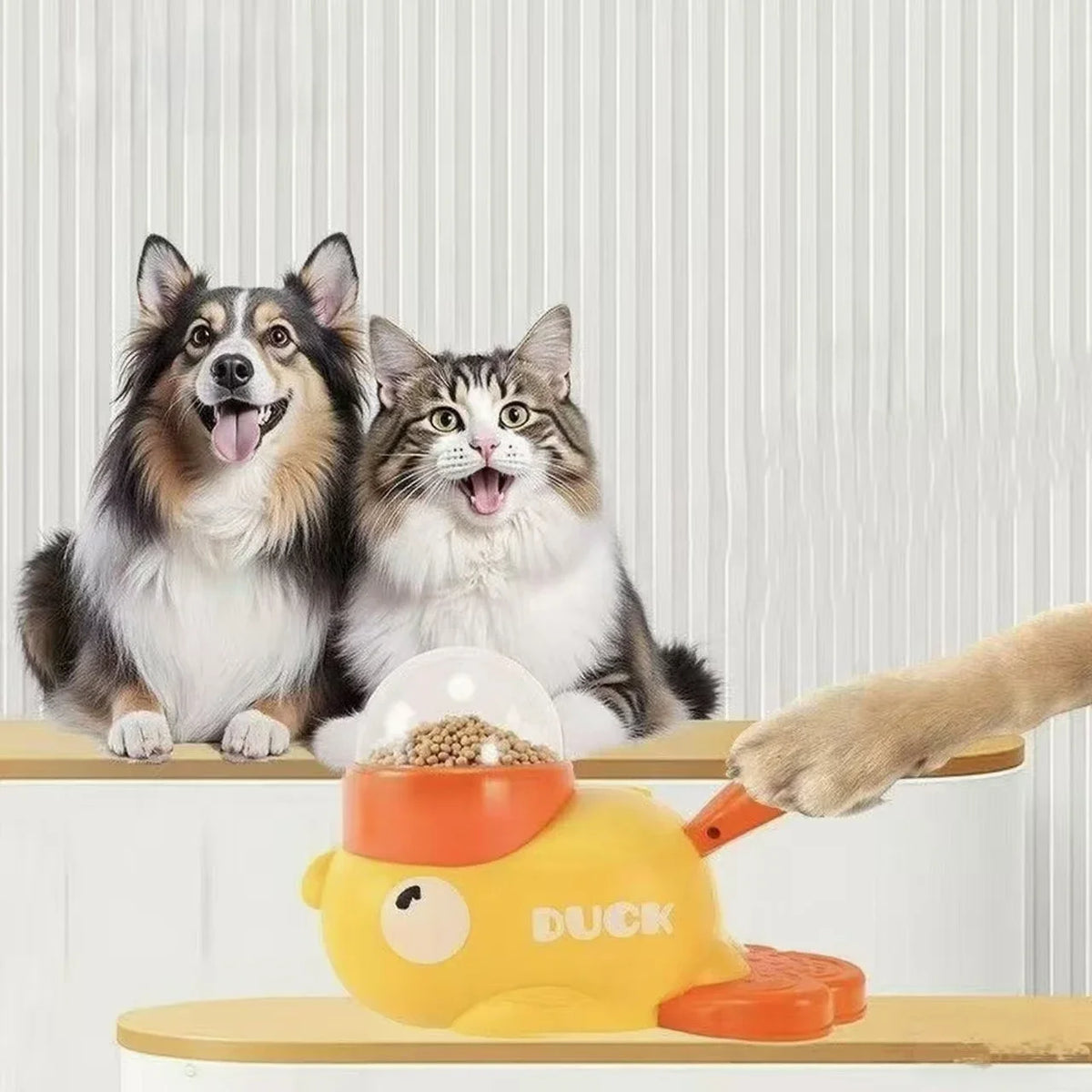 Distributeur interactif de nourriture pour chat