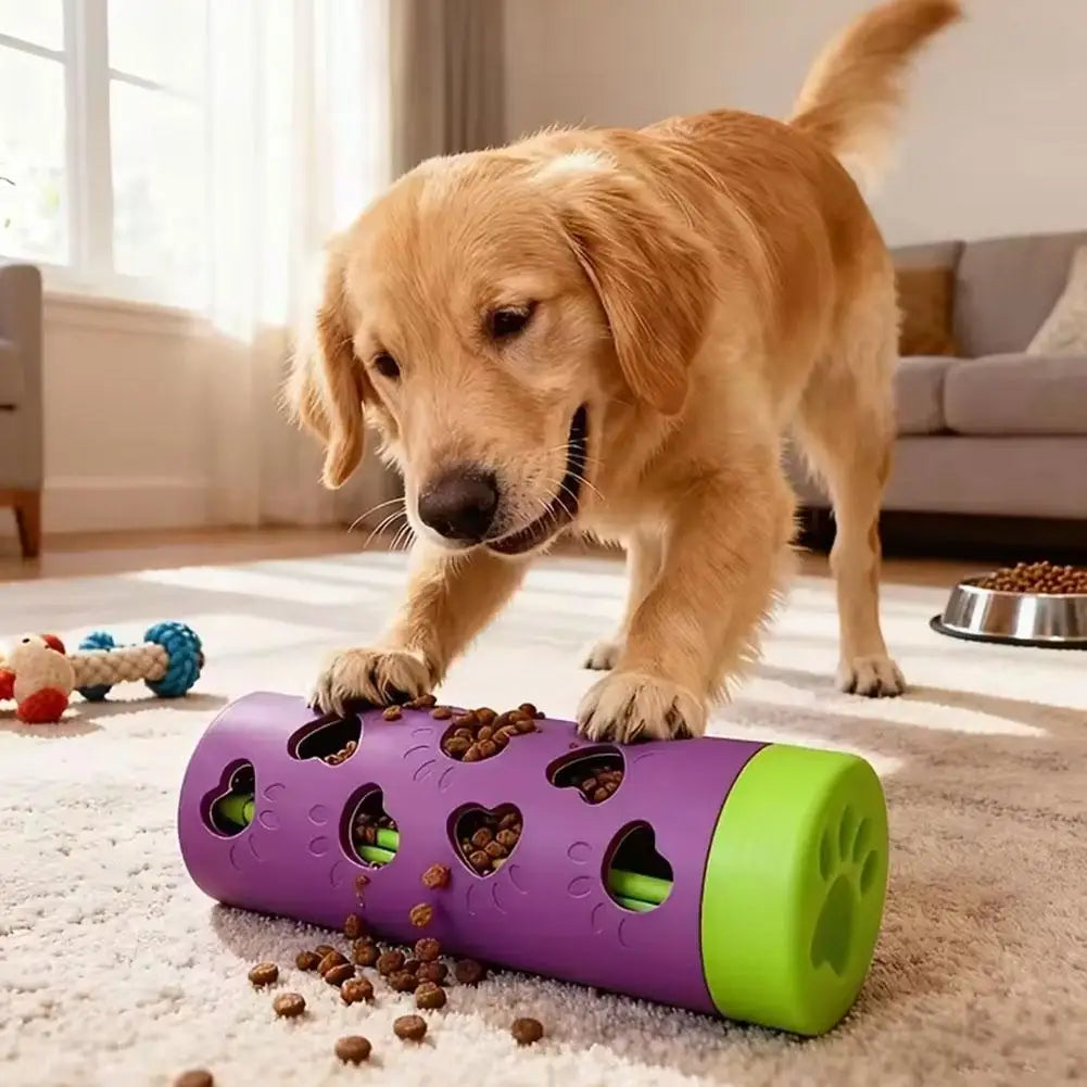 Jouet distributeur de friandises pour chat