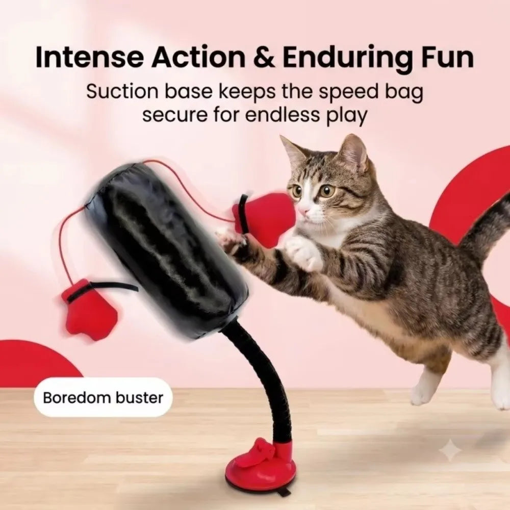 Jouet à ressort à ventouse pour chat