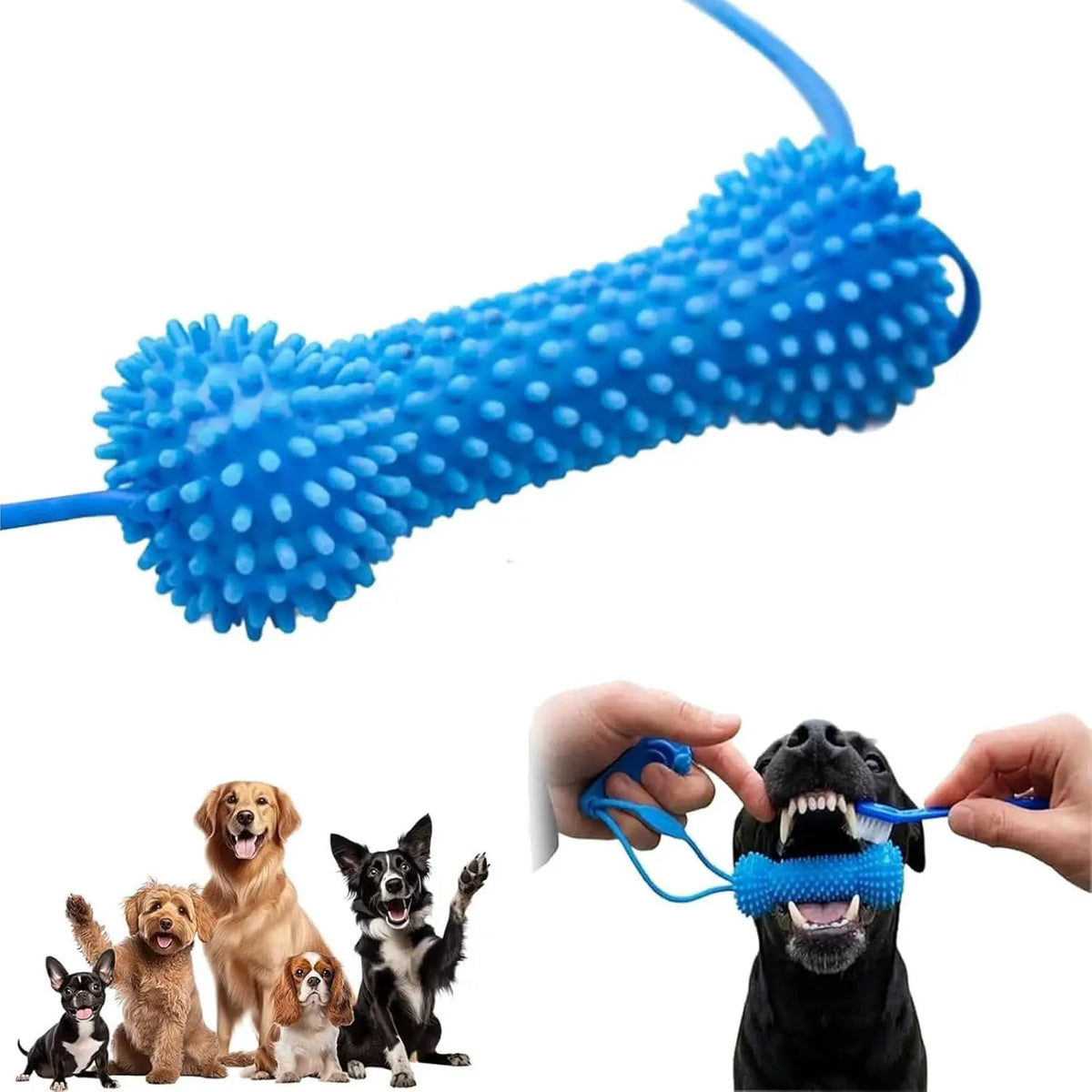 Jouet à ventouse avec corde pour chien