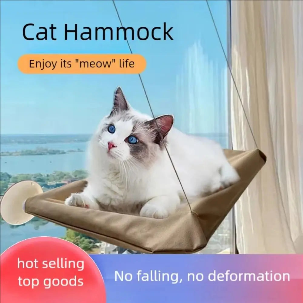 Perchoir de fenêtre à ventouse pour chat