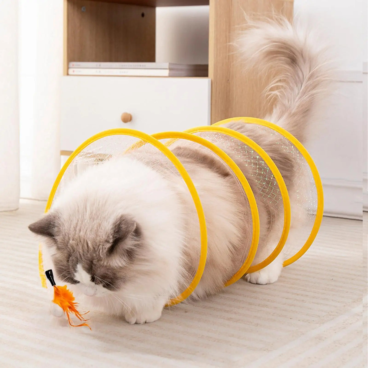 Tunnel de jeu pliable pour chat